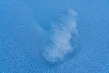 Heavy winter in the mountains with frozen trees and gorgeous minimalist shapes.