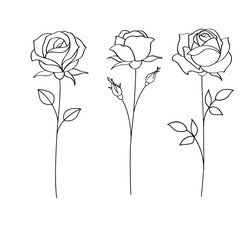 Aufkleber - Set of sketches, hand drawn rose, line art. Vector illustration