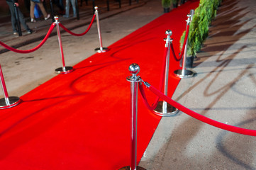 Red Carpet for cinema awards and Fashion Awards ceremony for celebrities persons