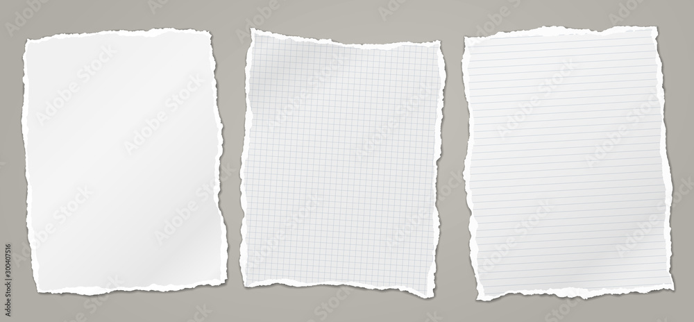 Torn white, squared and lined note, notebook paper pieces stuck on grey background. Vector illustration - obrazy, fototapety, plakaty 