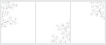 Set Of 3 Blooming Tree Twigs Vector Illustration. Gray Tree Branches With Flowers Isolated On A White Background. Simple Elegant Wedding Cards. Floral Hand Drawn Arts. Illustration Without Text.