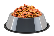 Dry Dog Treats In Bowl, 3D Rendering