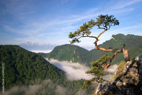 Sokolica Peak in Pieniny, Poland