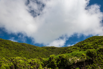 Wall Mural - Landscape in Sao Miguel Island in the Azores