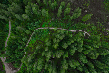 Aerial top view forest, Texture of forest view from above, Copter drone view, Panoramic photo over the tops of pine forest