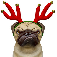 Wall Mural - dog pug cartoon with a christmas hat doing a angry face