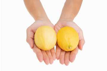 closeup of holding two fresh lemons in hand with white background