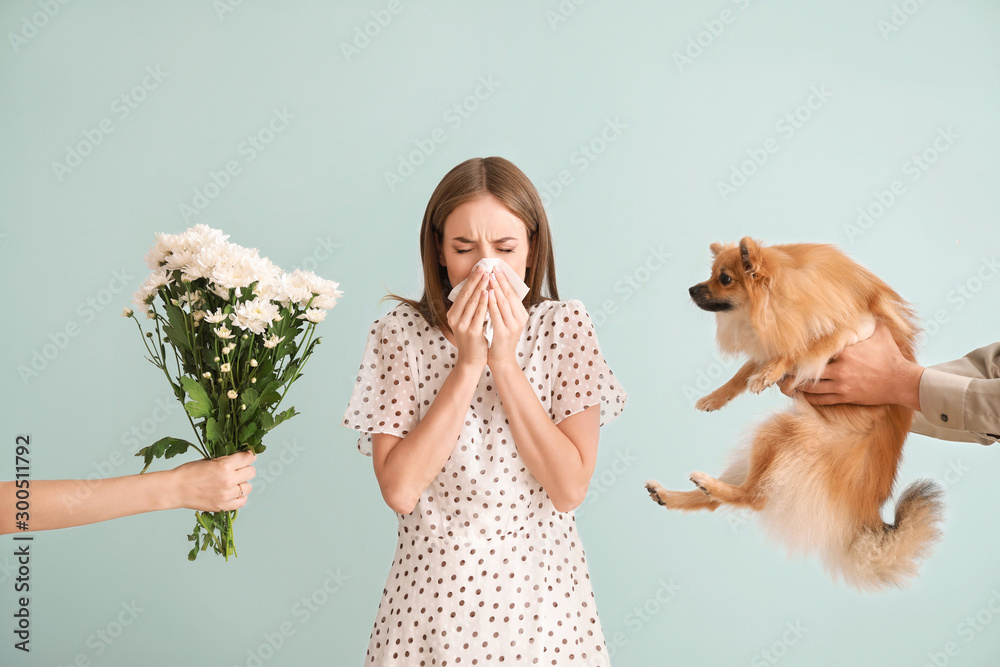 People giving flowers and dog to young woman suffering from allergy on light background - obrazy, fototapety, plakaty 