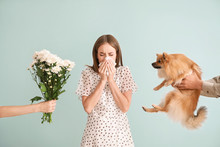 People Giving Flowers And Dog To Young Woman Suffering From Allergy On Light Background