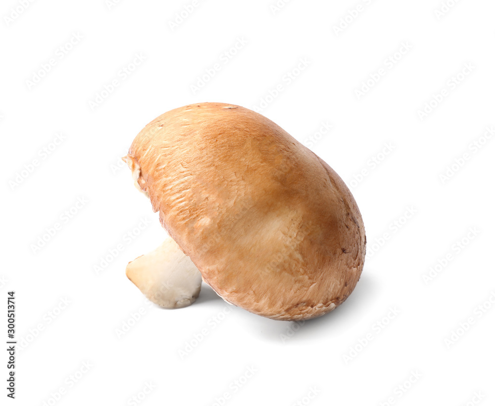 Fresh champignon mushroom on white background