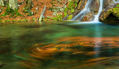  Brigth and warm colors and a beautiful stream and waterfalls in a wild mountain location in autumn