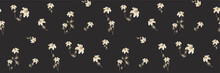 Elegant Pattern In Small Flower. Small White Flowers. Lilies On A Dark Black Background. Ditsy Floral Background. Tropical Botanical Template For Fashion Prints. Vector Illustration.