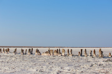 Canvas Print - The salt flats