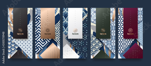 Vector set packaging templates japanese of nature luxury or premium products Tableau sur Toile