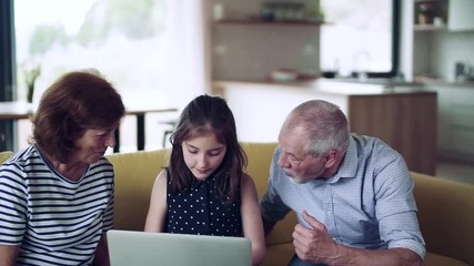 Wall Mural - A small girl with senior grandparents indoors sitting on sofa, using laptop.