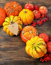 Happy Thanksgiving Greeting Card. Fall Pumpkin Arrangement. Pumpkins, Apples, Berries On Rustic Wooden Background. Bright Pumpkins With Empty Paper Tag On Table. Copy Space