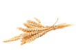 Leinwandbild Motiv Sheaf of wheat ears isolated on a white background