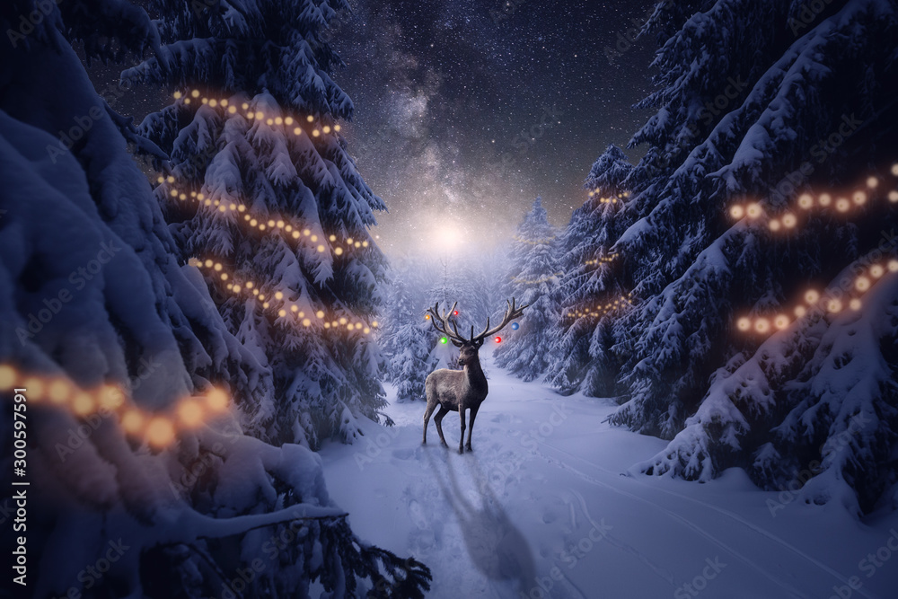 Ein Hirsch mit Weihnachtsdekoration steht im Winterwald - obrazy, fototapety, plakaty 