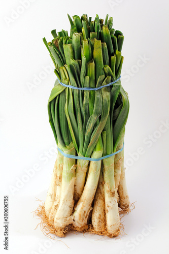Fotomural Calçots. Typical variety of onions in Catalonia. Spain