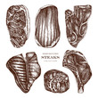Raw meat top view sketches collection. Vector illustrations of Filet mignon, rib eye, strip, flank, 7-bone, t-bone steaks. Hand drawn cuts of beef.  Steak house, grill restaurant menu