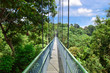 Jungle Treetop Walking Bridge in Southeast Asian Forest (National Park) - Singapore