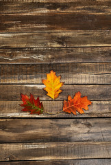 Wall Mural - Autumn maple leaves on top view wooden table vertical frame.