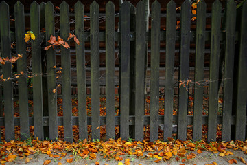 Poster - old wooden fence in autumn scenery