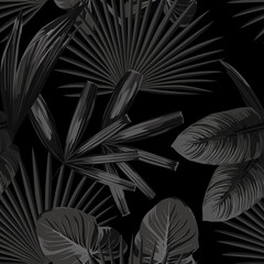 Wall Mural - Monochrome black white tropical illustration