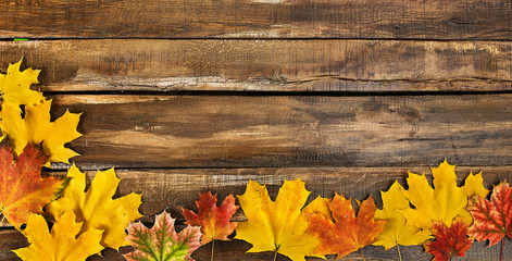 Wall Mural - Autumn maple leaves on top view wooden boards. Horizontal frame with leafage on bottom