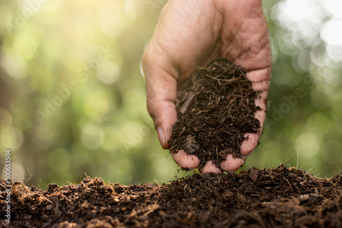Fotomural The hands of the agricultural men are picking the best soil for planting