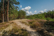 Estonia Zatoka Ryska torfowiska i lasy