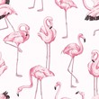 Colorful seamless pattern with pink flamingo. Hand drawn realistic background with tropical birds standing in different postures. Trendy vector backdrop with exotic wild animals.