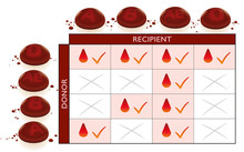 Blood Groups Transfusion Compatibility Chart With Column And Row For Donor And Recipient. Compatible Fields With Check Marks, Crossed Non-compatible Boxes For Incompatibility.