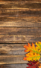 Wall Mural - autumn maple leaves on top view wooden table. vertical frame with bottom right corner.