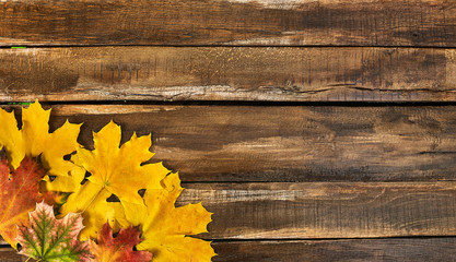Wall Mural - autumn maple leaves on top view wooden table. horizontal frame with lower left corner