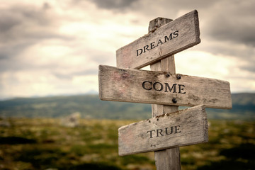 Wall Mural - Dreams come true wooden signpost outdoors in nature. Dreamy, true, fight, never give up, hold on, keep on moving concept.