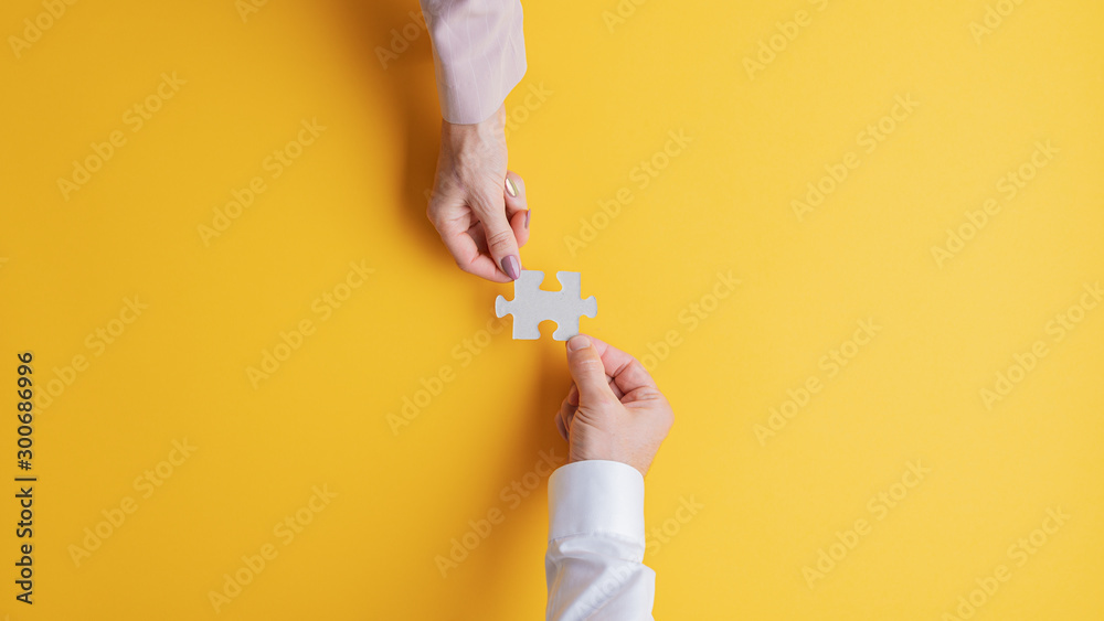 Business teamwork and cooperation - obrazy, fototapety, plakaty 