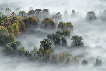 Sticker - The spectacle of nature, autumn landscape