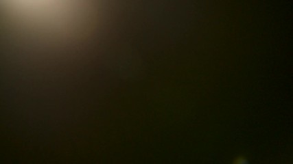 Wall Mural - organically capture of warm lens flares for production industry
