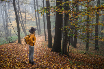 Wall Mural - wanderlust, woman hiking in nature