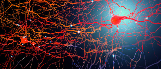 Signal transmitting neurons or nerve cells- 3d illustration