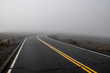 © Alex Fradkin - Road to Haleakala Crater in the Fog, Maui