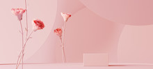 Background For Cosmetic Product Branding, Identity And Packaging Inspiration. Podium With Pink Carnations And Pink Circular Geometry Background. 3d Rendering Illustration.