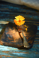 Marigold flower on antique fork on burned-out kitchen board on rough dyed wooden blue table.