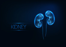 Futuristic Glowing Low Polygonal Human Kidneys Isolated On Dark Blue Background.