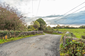 Wall Mural - little road in countryside