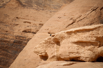 Walking and hiking tours in the Wadi Rum desert, Jordan