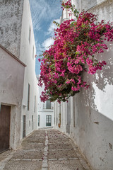  Traditional street of Vejer de la Frontera, a beautiful tourist town in the province of Cadiz, in Andalusia, in southern Spain
