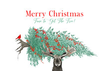 Funny Christmas Tree Scene With Moose Carrying A Christmas Tree With Cardinal And Merry Christmas Greeting Text  In Hand Drawn Holiday Sketch Or Illustration For Party Invites Or Fun Animal Designs