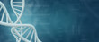 DNA Genetische Forschung - Biotechnologie